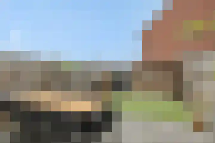 Lunersingel 62 Rosmalen thumbnail 22