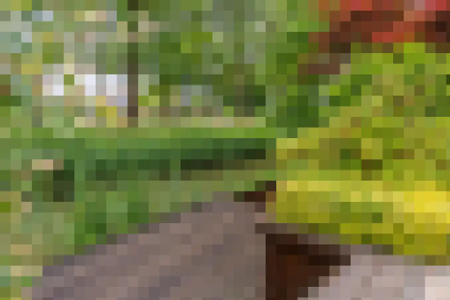 Lunet 1 Vuren thumbnail 21