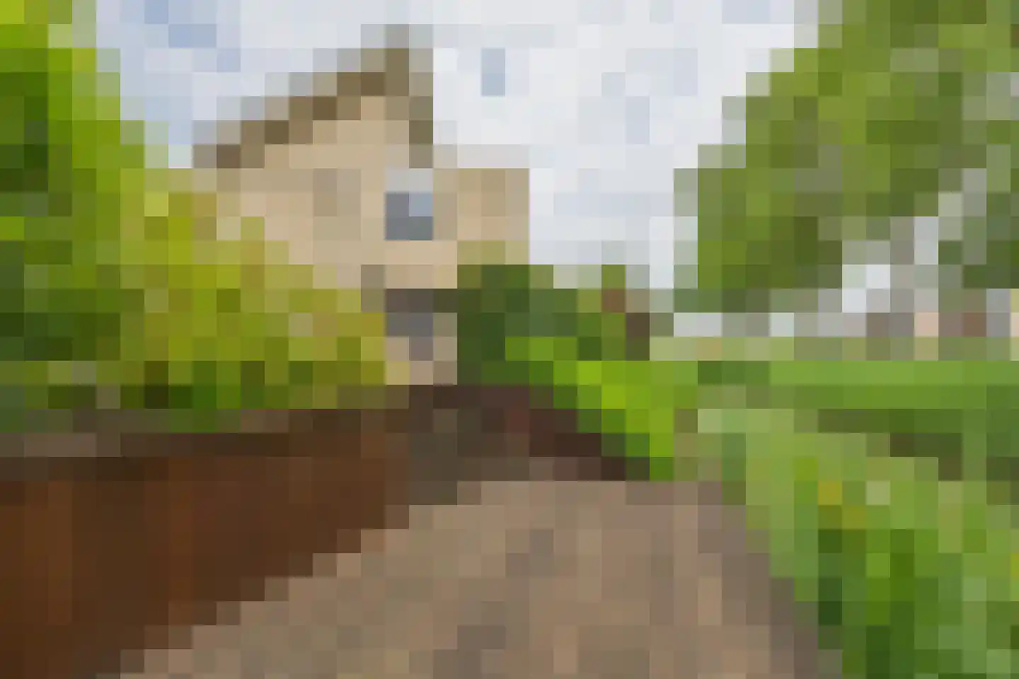 Lunet 1 Vuren thumbnail 5