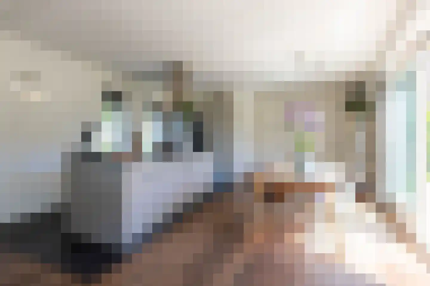 Lunet 12 Vuren thumbnail 5