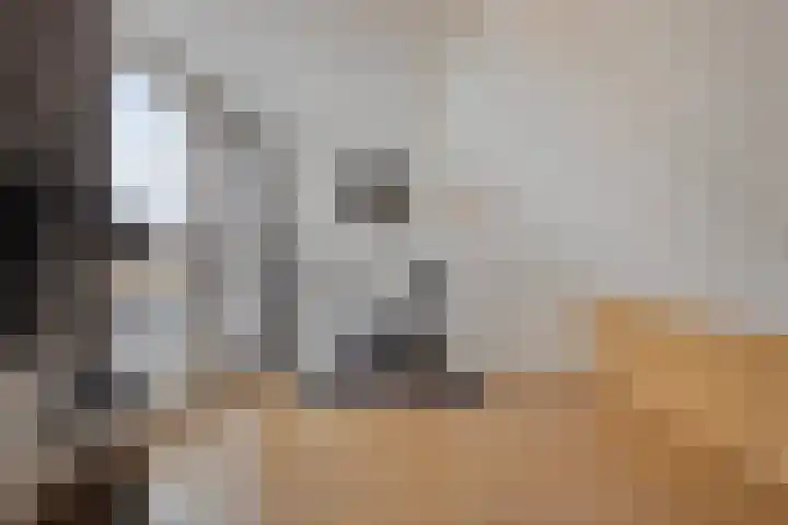 Lunet 15 Veldhoven thumbnail 17