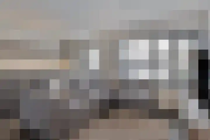 Lunet 15 Veldhoven thumbnail 5