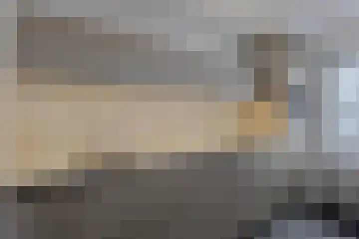 Lunet 15 Veldhoven thumbnail 6