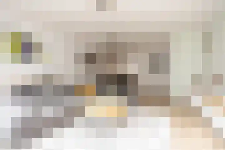 Lunet 3 Berkel en Rodenrijs thumbnail 10