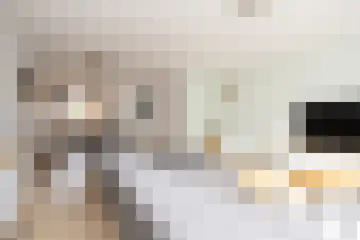 Lunet 3 Berkel en Rodenrijs thumbnail 11