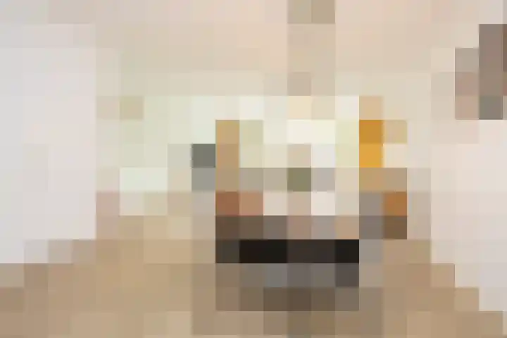 Lunet 3 Berkel en Rodenrijs thumbnail 12
