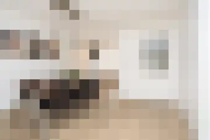 Lunet 3 Berkel en Rodenrijs thumbnail 13