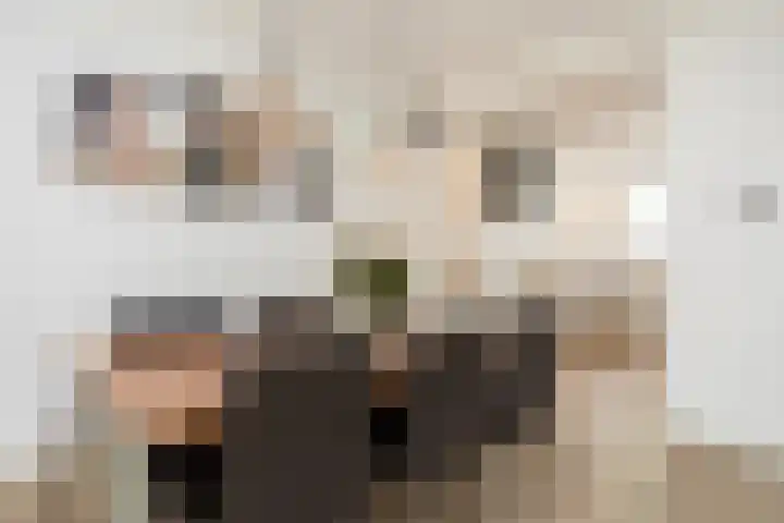 Lunet 3 Berkel en Rodenrijs thumbnail 16