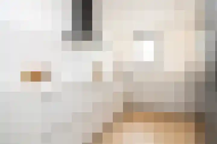 Lunet 3 Berkel en Rodenrijs thumbnail 18