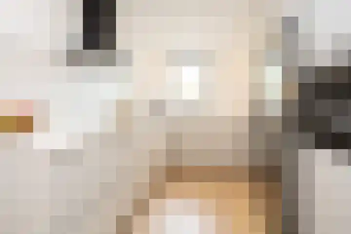 Lunet 3 Berkel en Rodenrijs thumbnail 19