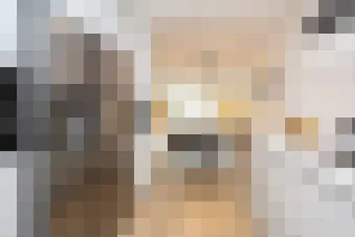 Lunet 3 Berkel en Rodenrijs thumbnail 20