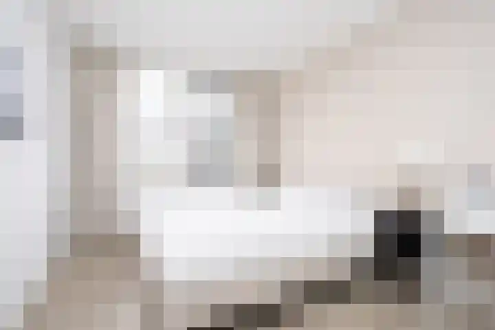 Lunet 3 Berkel en Rodenrijs thumbnail 21
