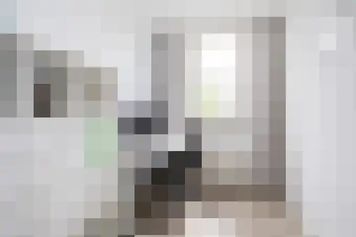 Lunet 3 Berkel en Rodenrijs thumbnail 25