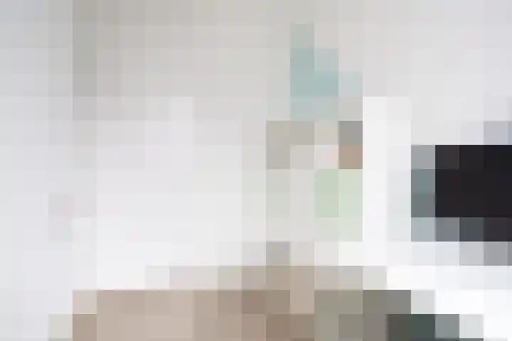 Lunet 3 Berkel en Rodenrijs thumbnail 26