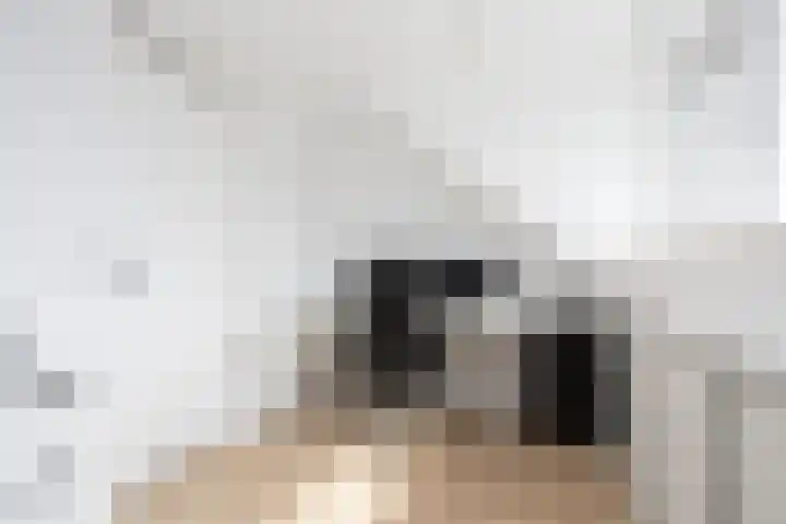Lunet 3 Berkel en Rodenrijs thumbnail 39