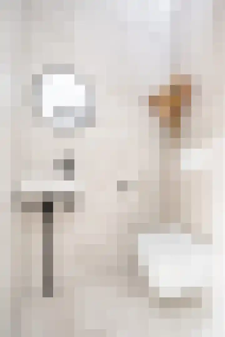 Lunet 3 Berkel en Rodenrijs thumbnail 6