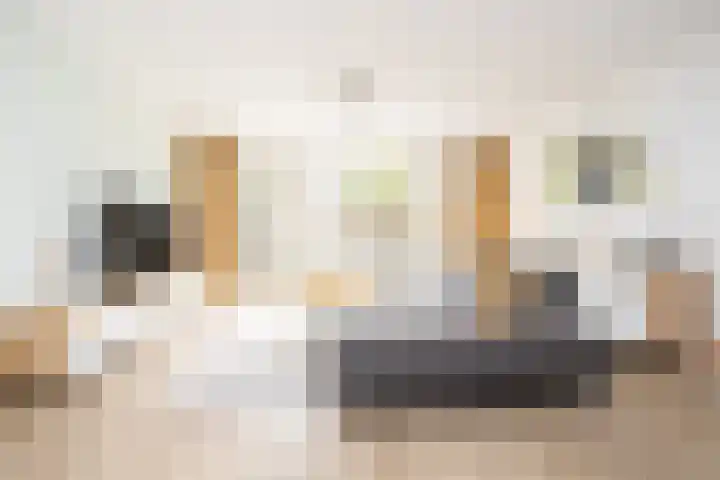Lunet 3 Berkel en Rodenrijs thumbnail 8