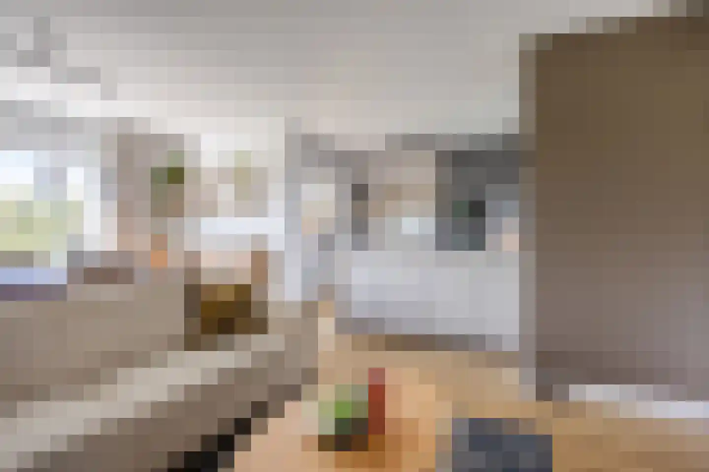 Lunet 41 Veldhoven thumbnail 10