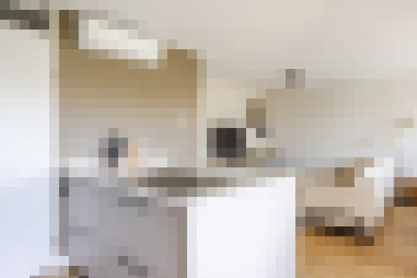 Lunet 41 Veldhoven thumbnail 18
