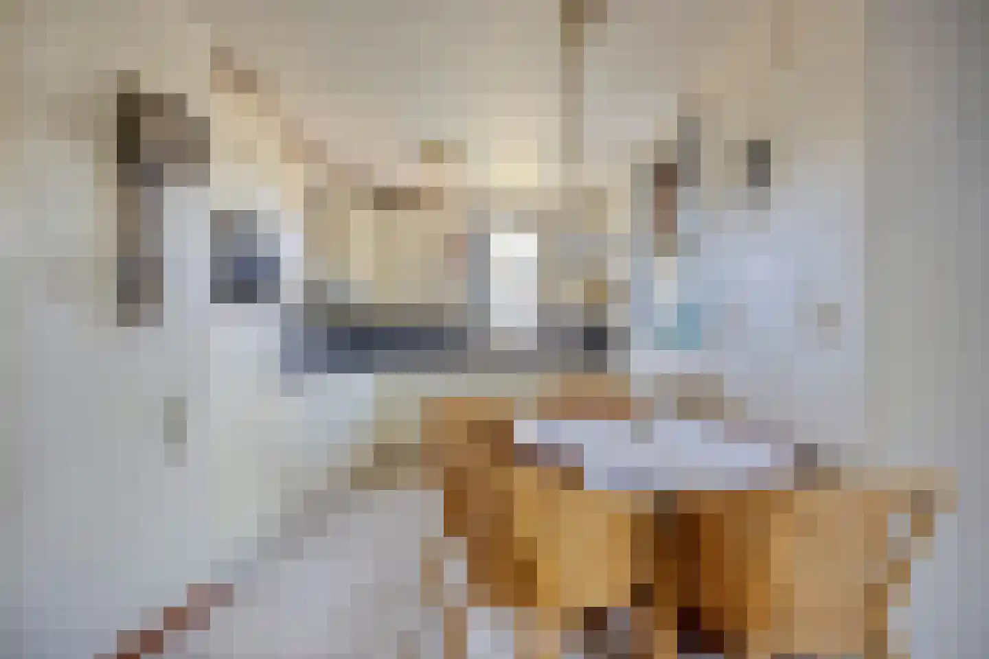 Lunet 47 Veldhoven thumbnail 4