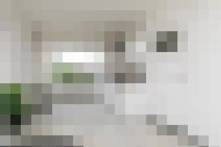 Lunetstraat 12 Breda thumbnail 17