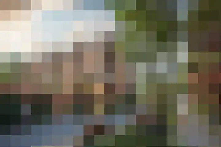Lunetstraat 12 Breda thumbnail 60