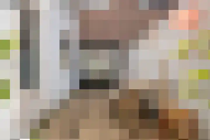 Lunetstraat 34 Breda thumbnail 30