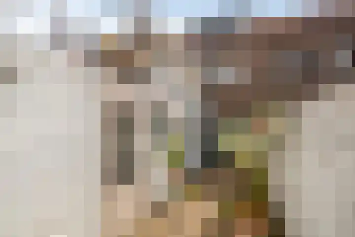 Lunetstraat 34 Breda thumbnail 31