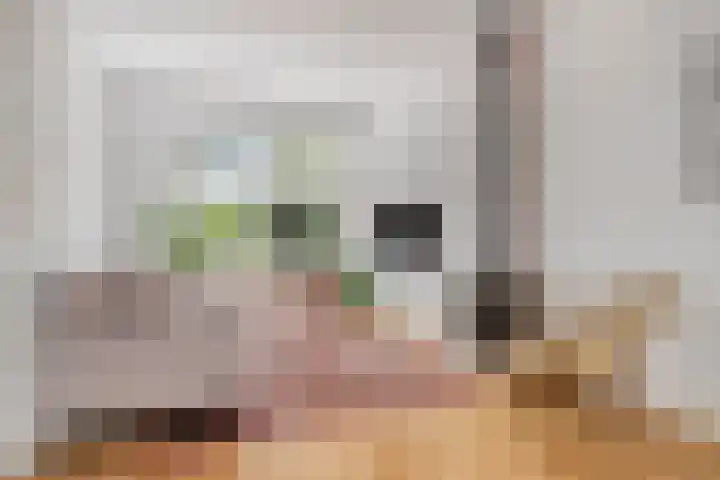 Lunetstraat 34 Breda thumbnail 6