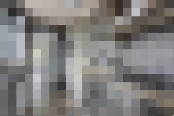 Lunetstraat 52 Breda thumbnail 8