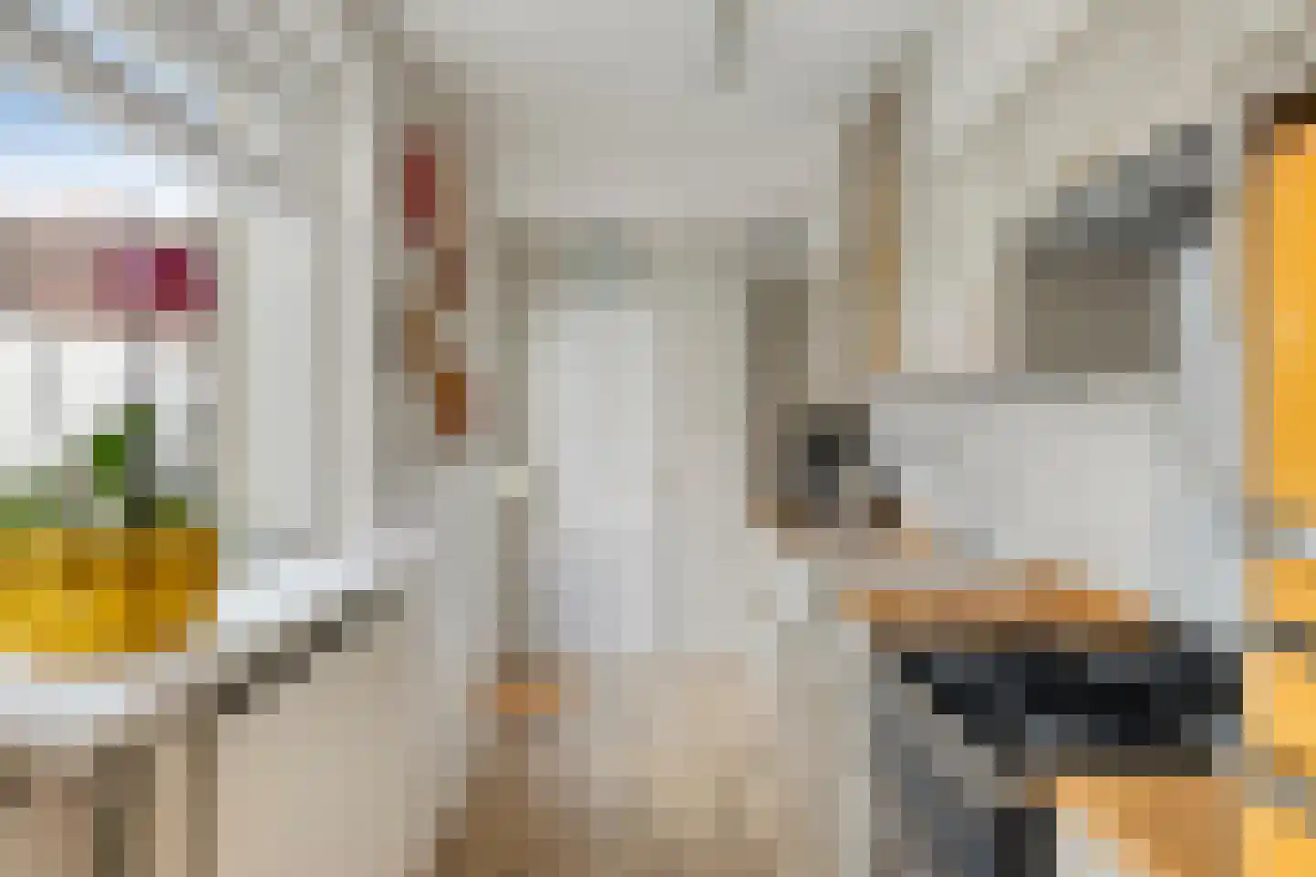 Lunetstraat 58 Breda thumbnail 13