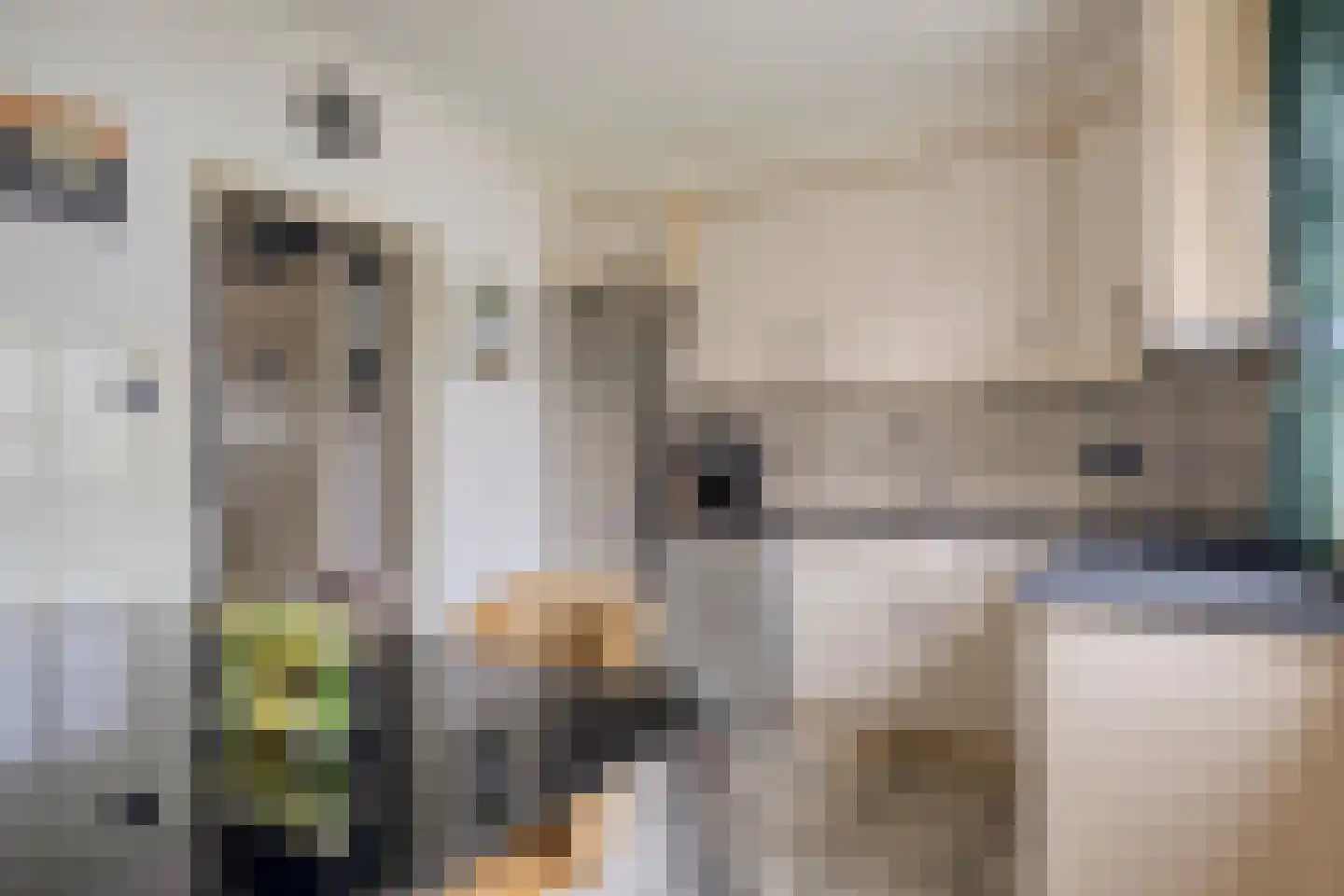 Lunette 21 Grave thumbnail 16