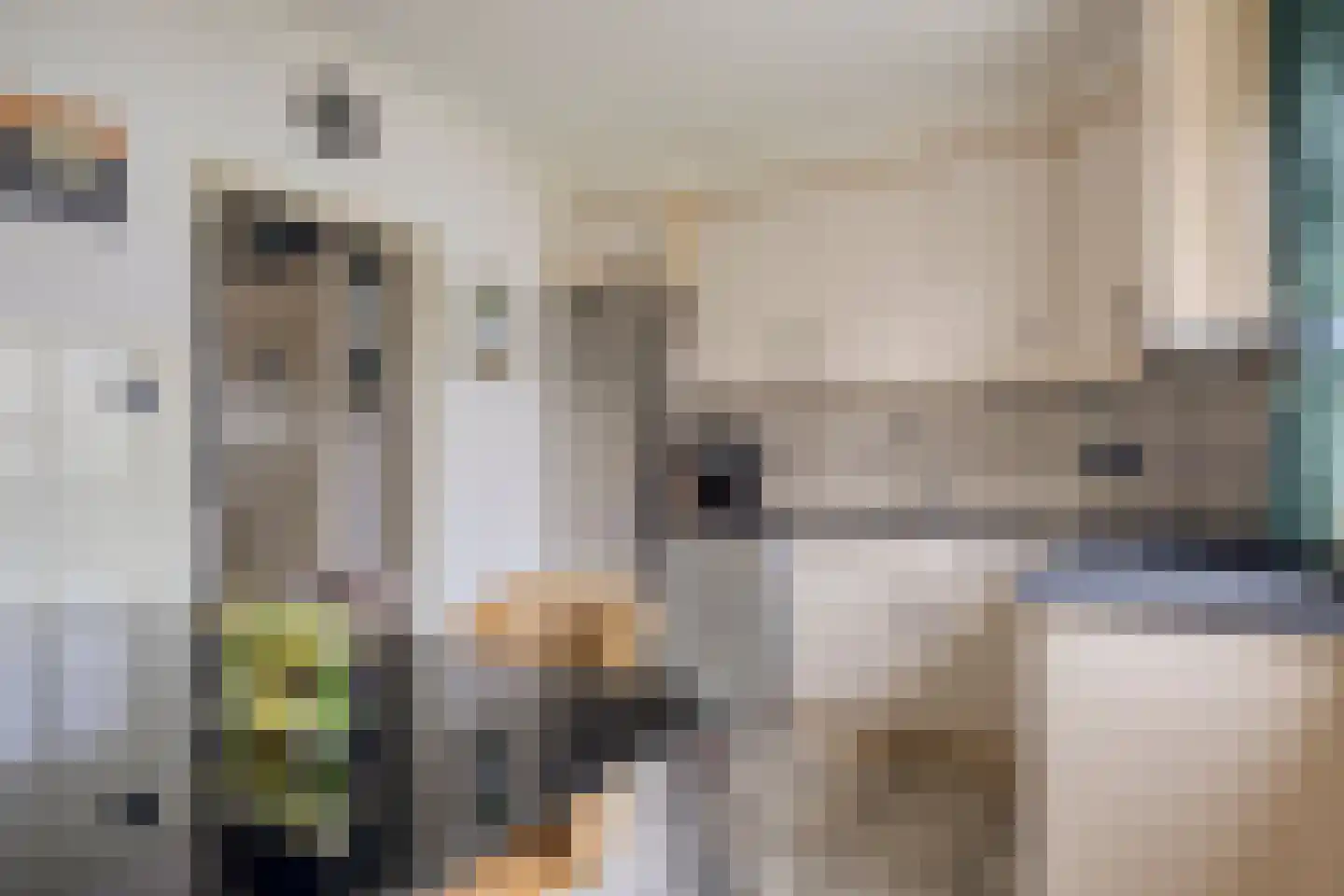 Lunette 21 Grave thumbnail 18