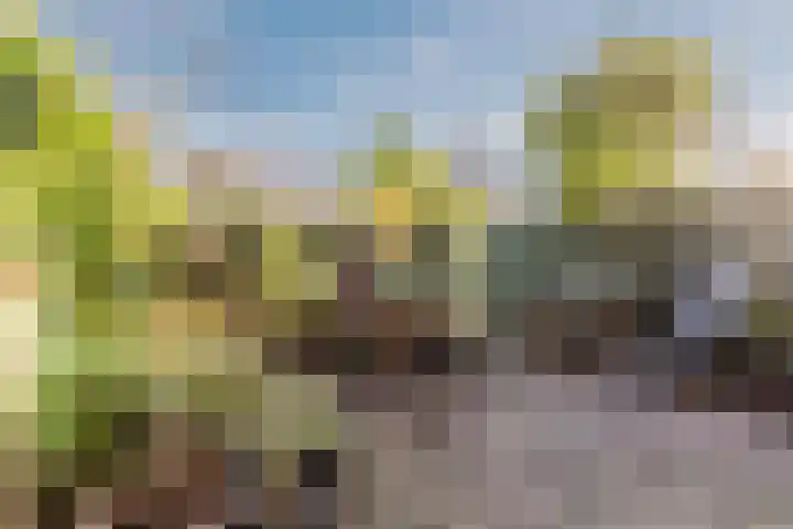 Lunette 21 Grave thumbnail 26