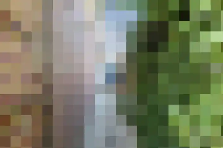 Lunette 21 Grave thumbnail 29