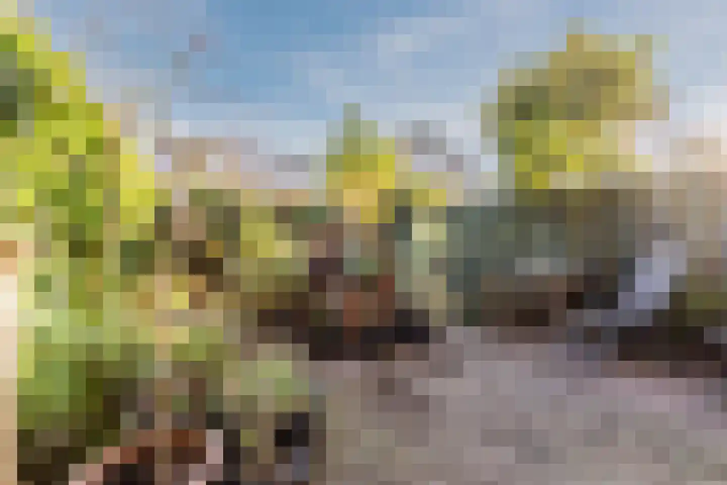 Lunette 21 Grave thumbnail 32