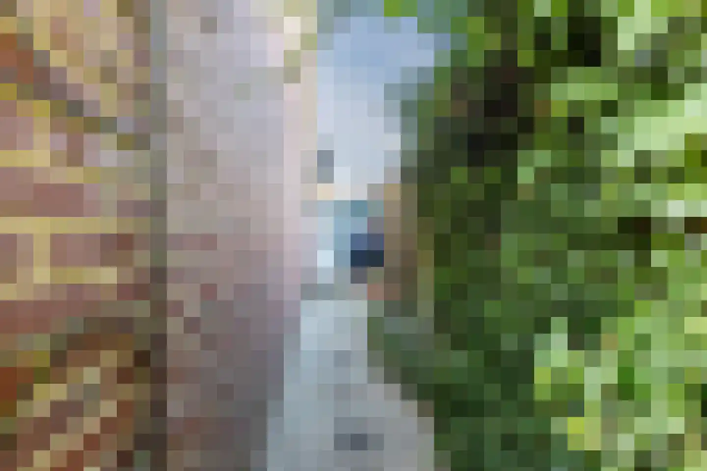 Lunette 21 Grave thumbnail 35