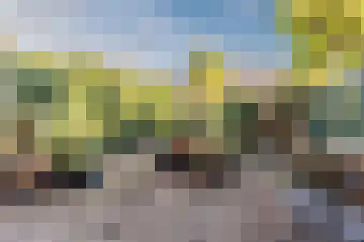 Lunette 21 Grave thumbnail 4