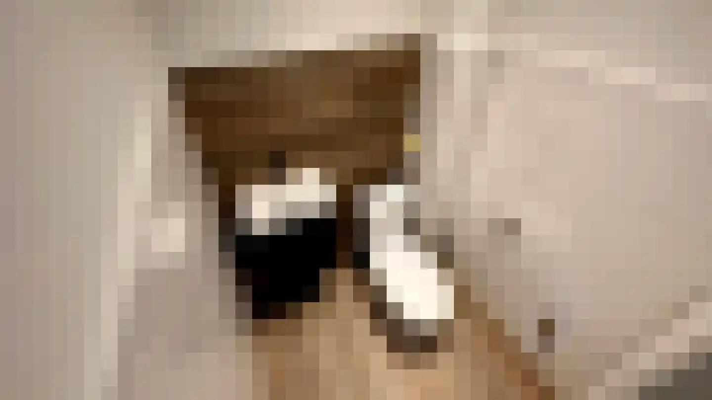Lunette 3 Grave thumbnail 18