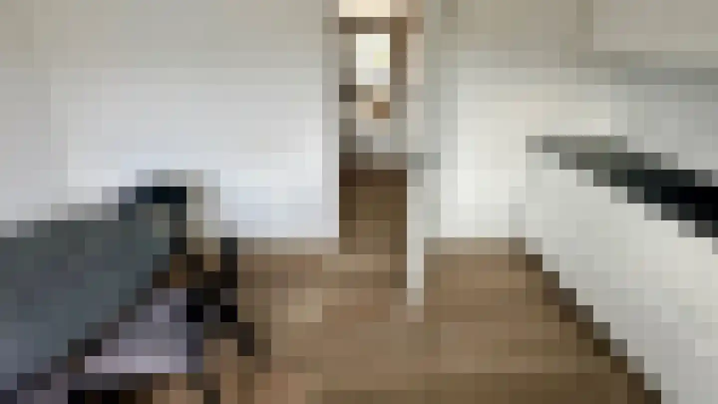 Lunette 3 Grave thumbnail 19