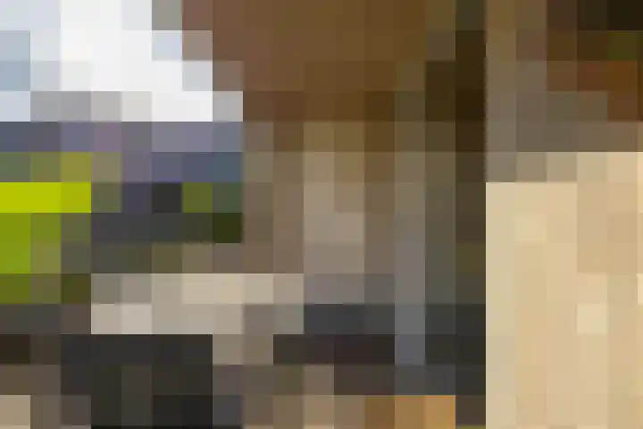Lunettenhof 13 Groningen thumbnail 10