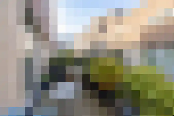 Lunettenhof 13 Groningen thumbnail 19
