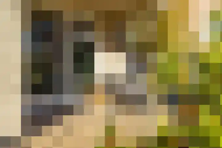 Lunettenhof 13 Groningen thumbnail 4