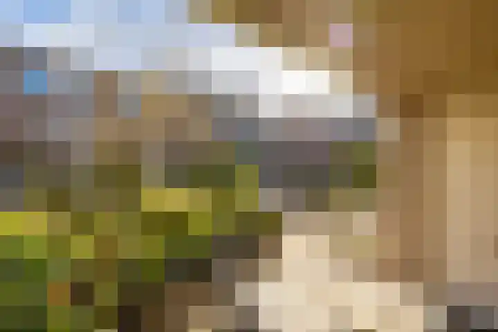 Lunettenhof 13 Groningen thumbnail 57