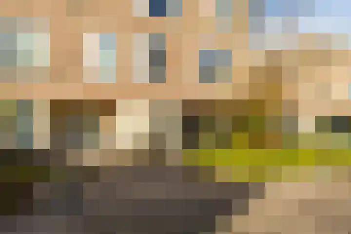 Lunettenhof 13 Groningen thumbnail 8