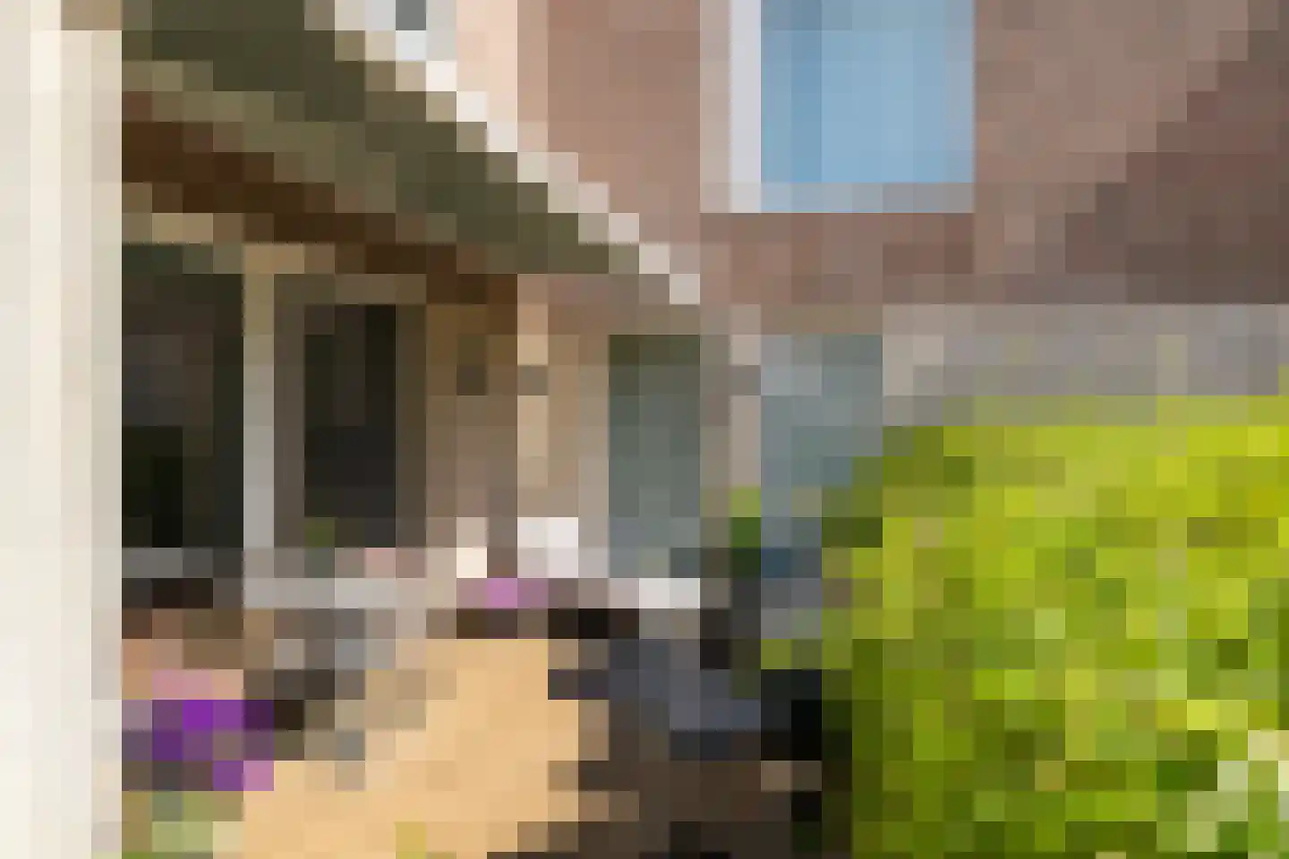 Lunettenhof 33 Groningen thumbnail 20