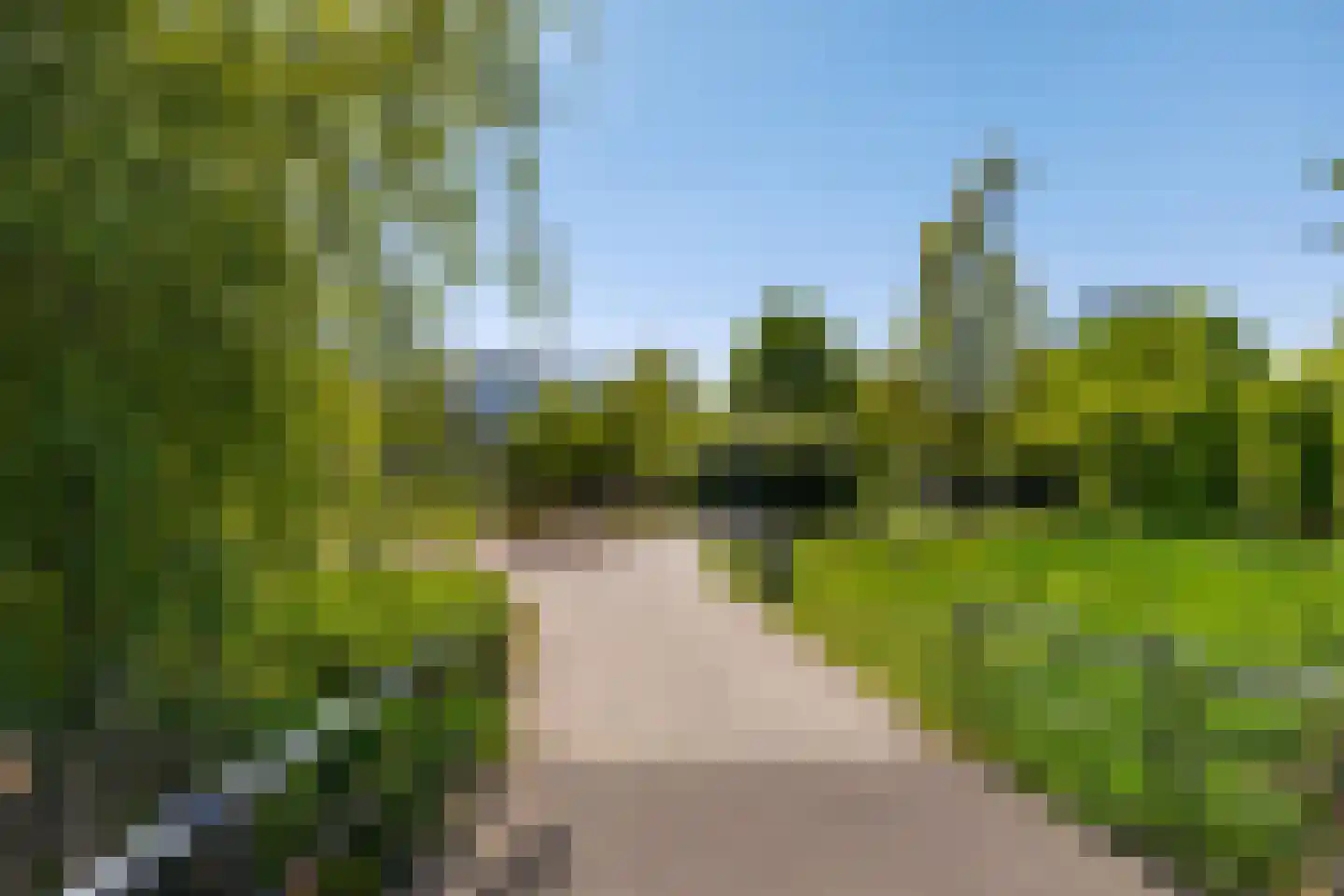 Lunettenhof 33 Groningen thumbnail 5