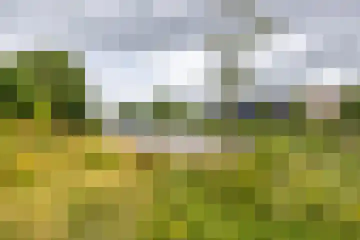 Lunettenhof 9 Groningen thumbnail 5