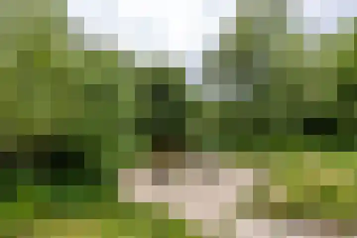 Lunettenhof 9 Groningen thumbnail 6