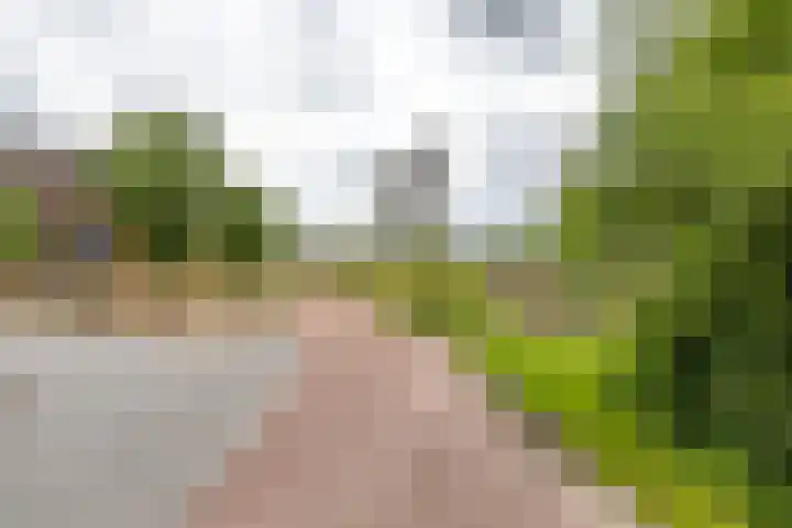 Lunettenhof 9 Groningen thumbnail 61